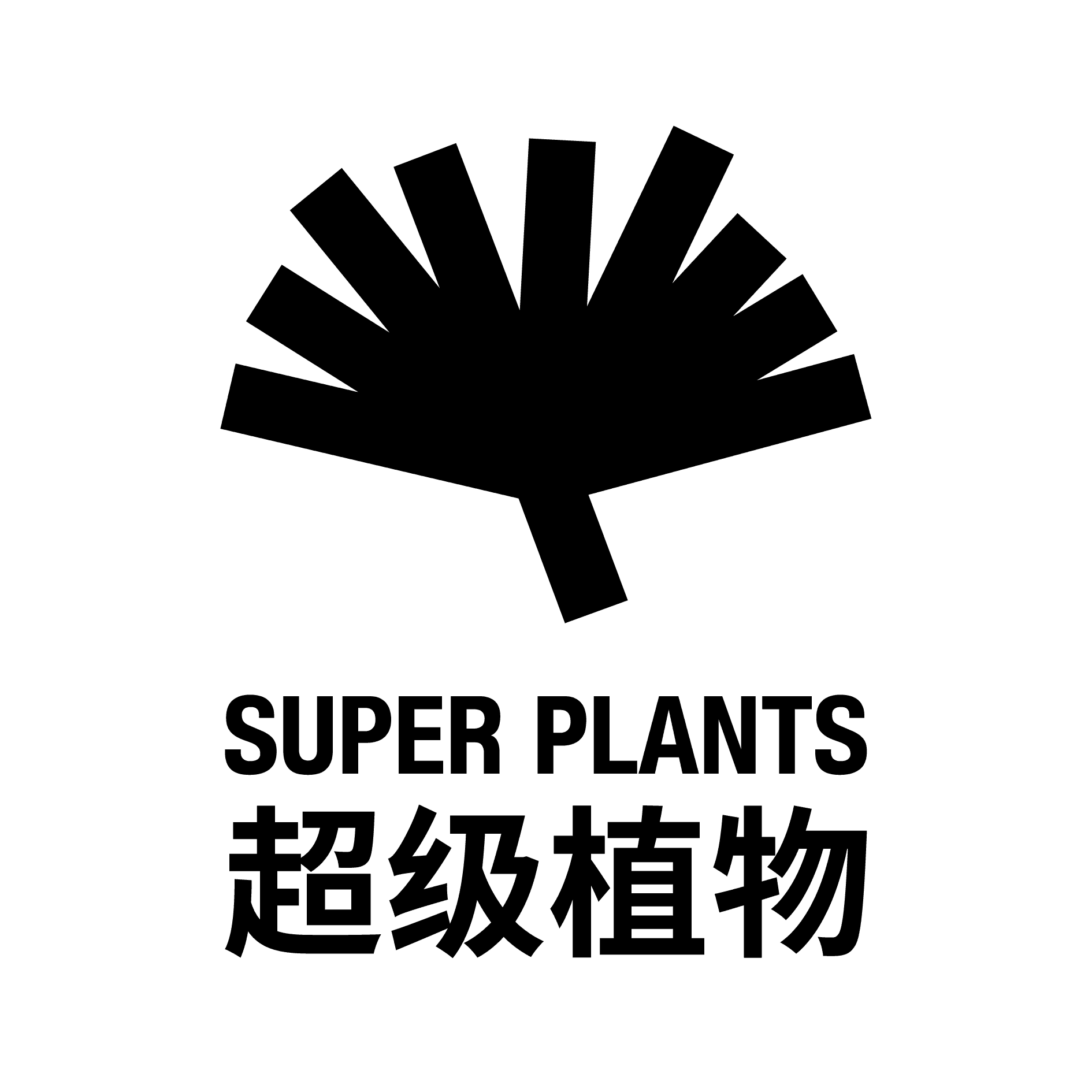 logo-16.png