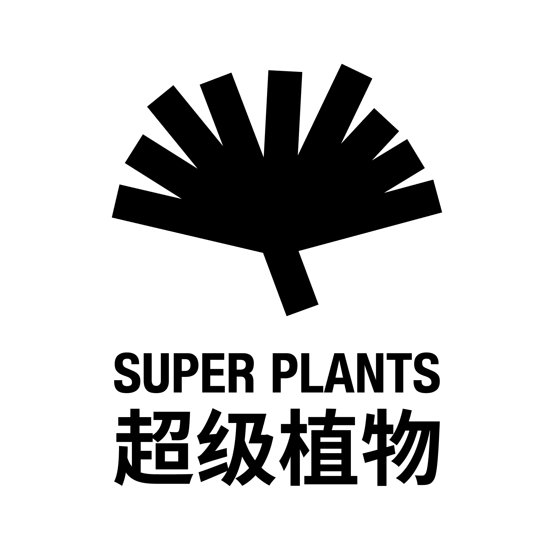 logo-16.png